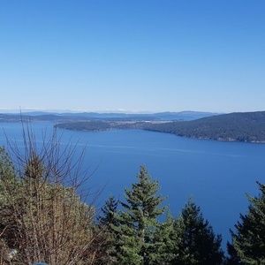 Meet your Posher, Wissam